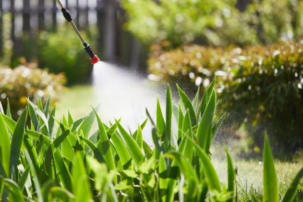 24/7 Emergency Fumigation Services experts in Kaunakakai, HI