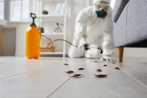 Trusted Fumigation Services service in Kaunakakai, HI - Nex Pest Control