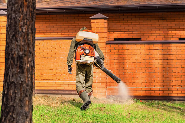 Trusted Ant Control service in Kaunakakai, HI - Nex Pest Control